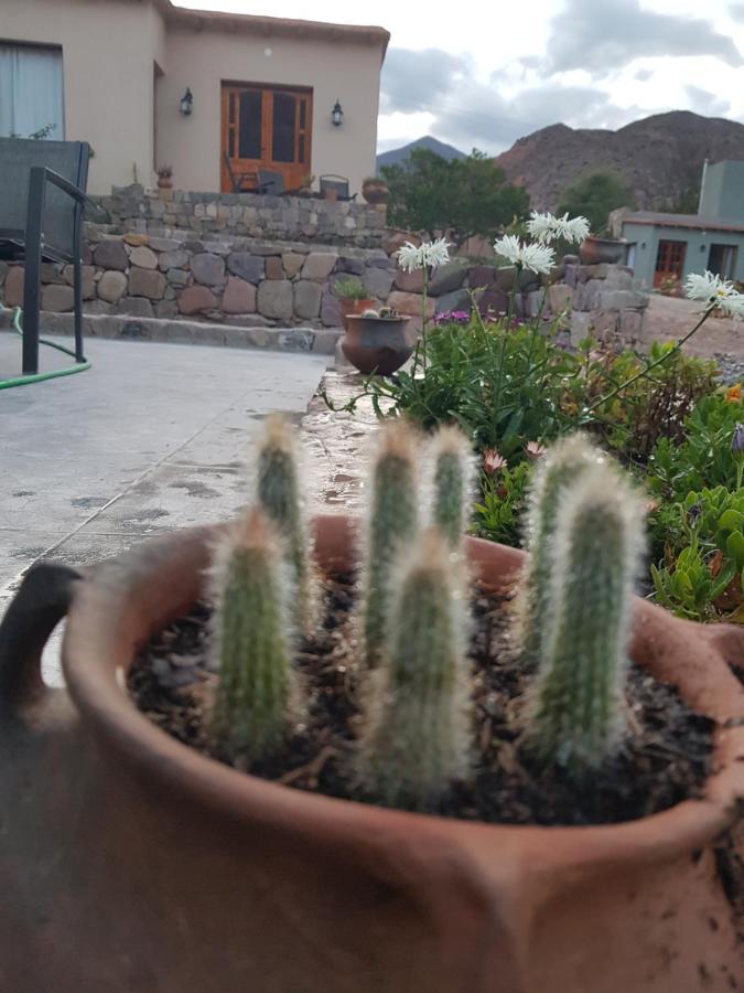 Ferienwohnung Tierra Primitiva Tilcara Exterior foto