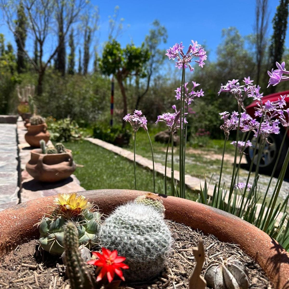 Ferienwohnung Tierra Primitiva Tilcara Exterior foto