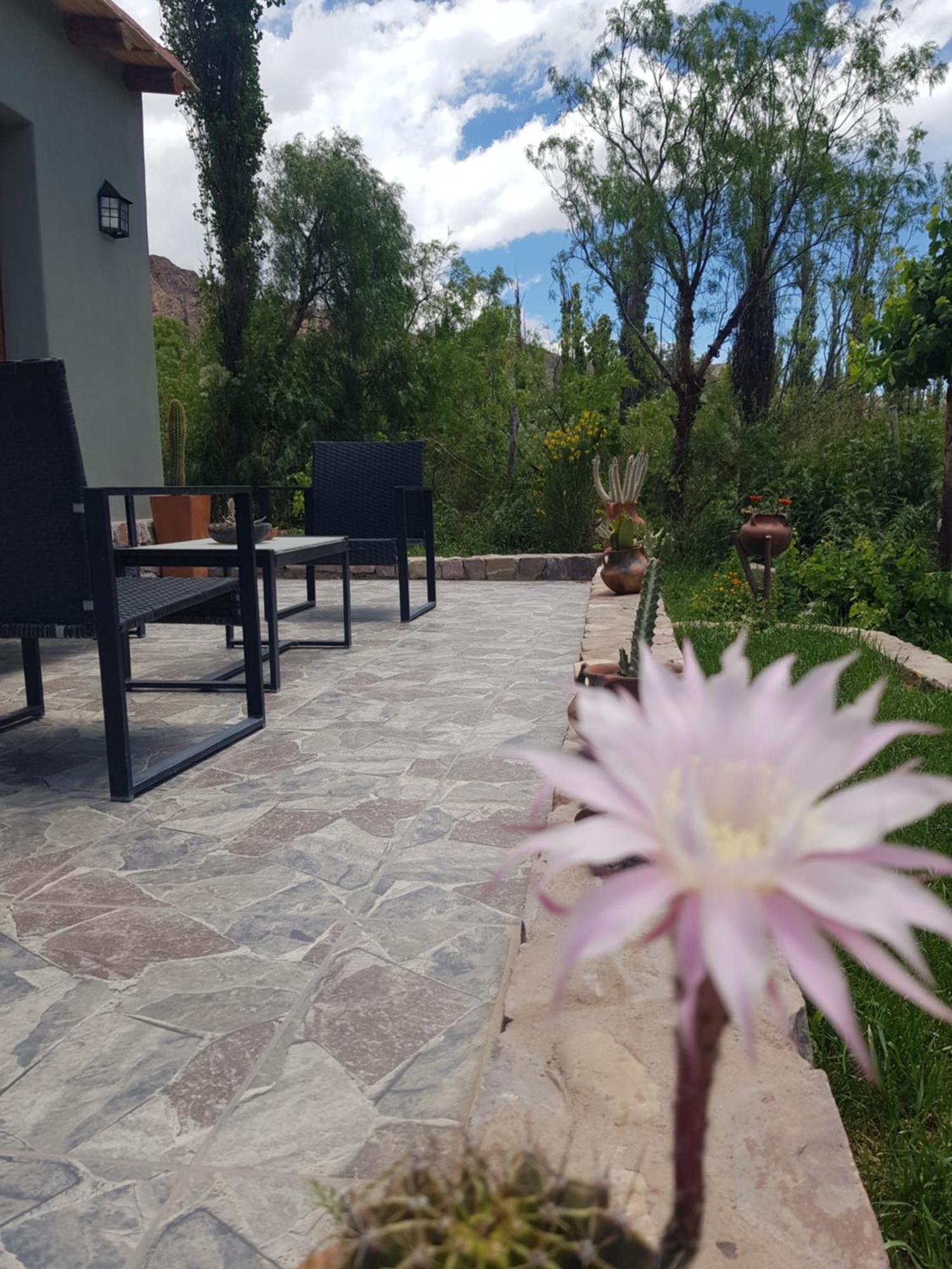 Ferienwohnung Tierra Primitiva Tilcara Exterior foto