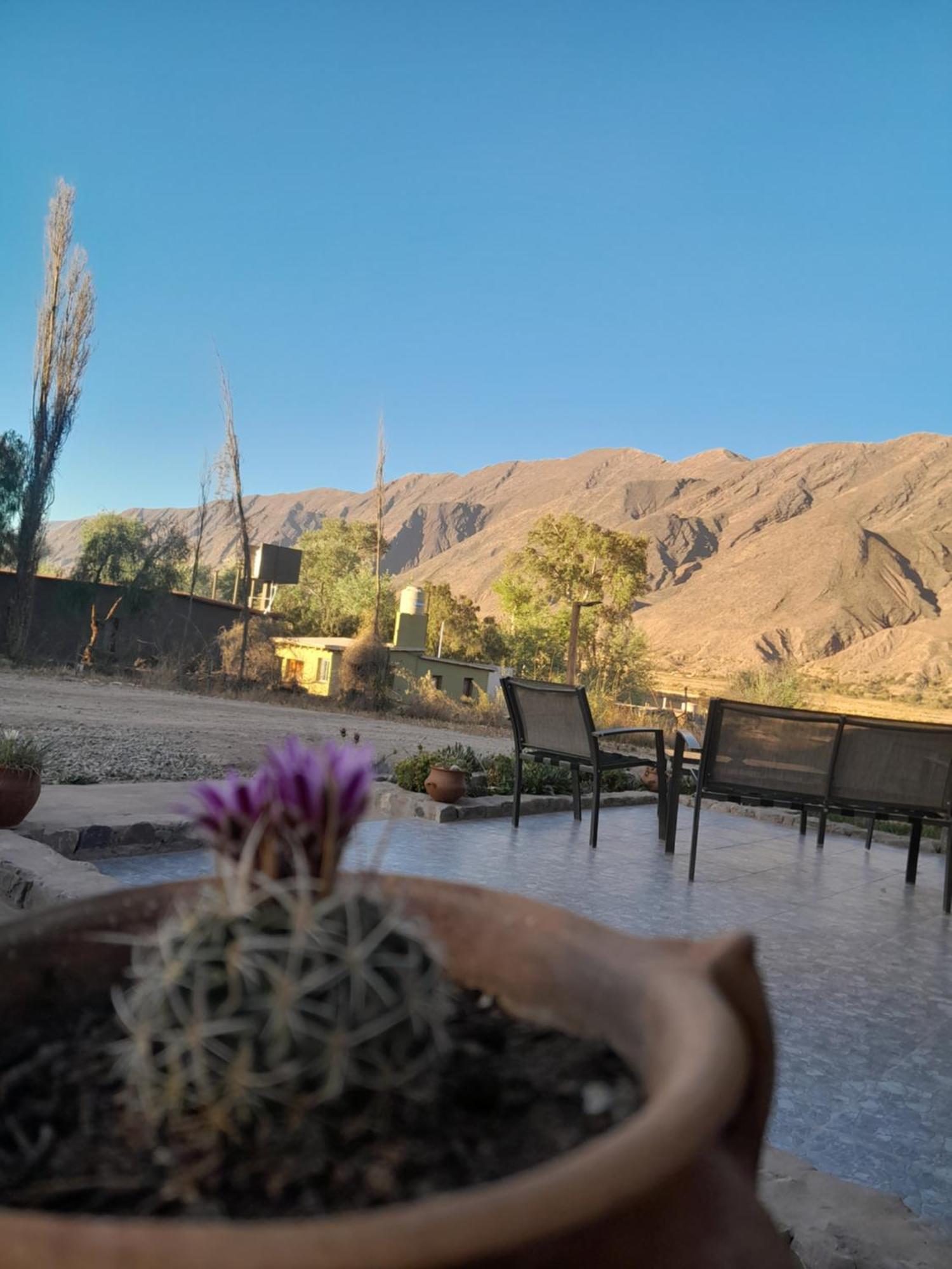 Ferienwohnung Tierra Primitiva Tilcara Exterior foto