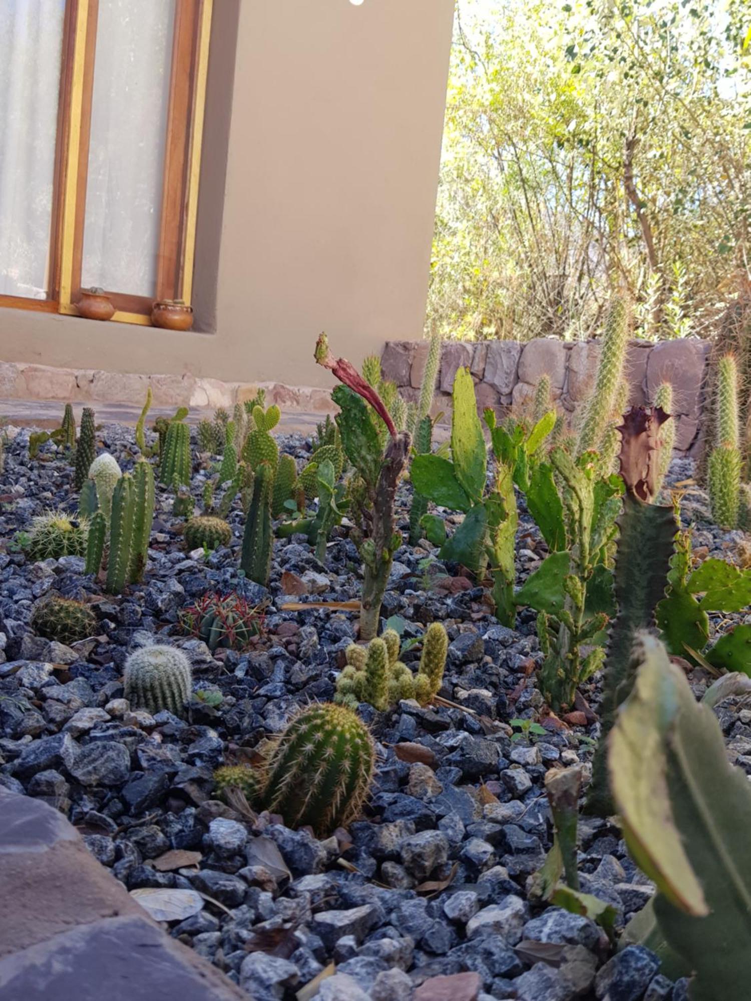 Ferienwohnung Tierra Primitiva Tilcara Exterior foto