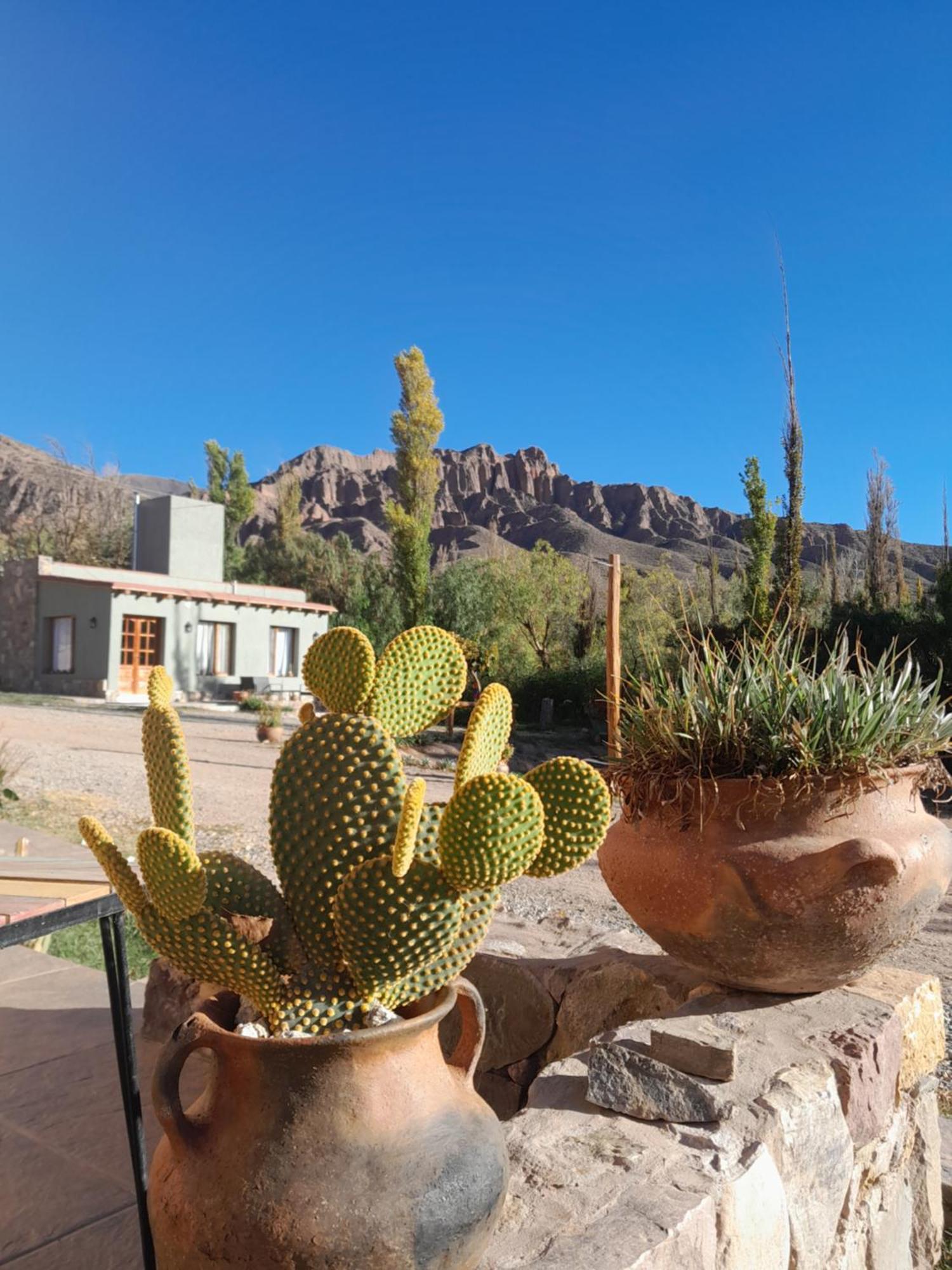 Ferienwohnung Tierra Primitiva Tilcara Exterior foto