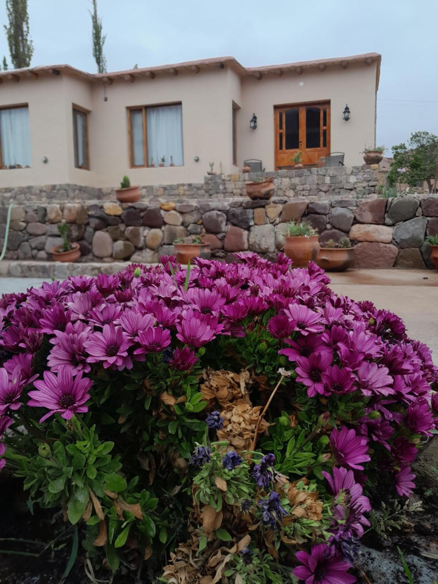 Ferienwohnung Tierra Primitiva Tilcara Exterior foto