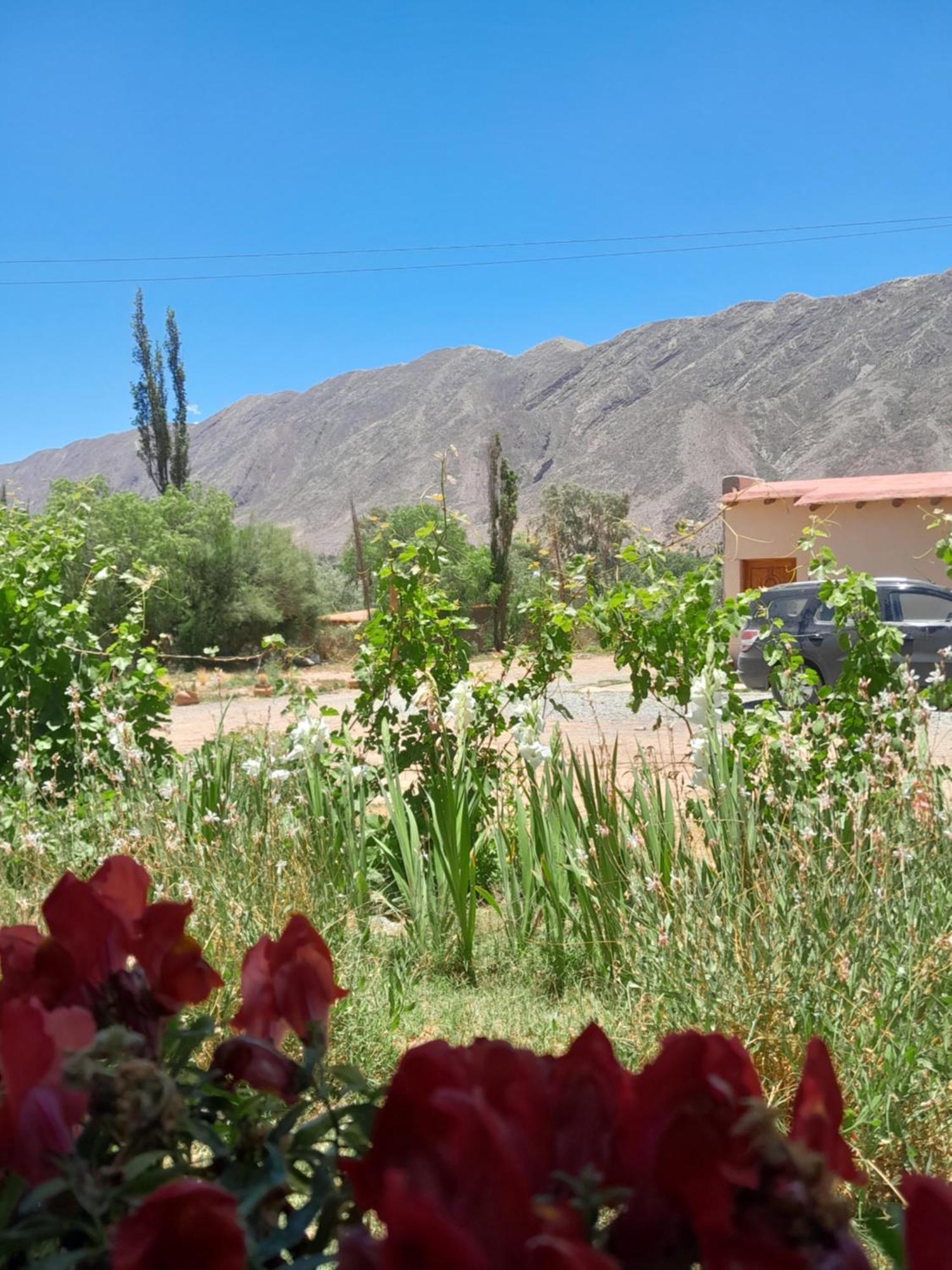 Ferienwohnung Tierra Primitiva Tilcara Exterior foto